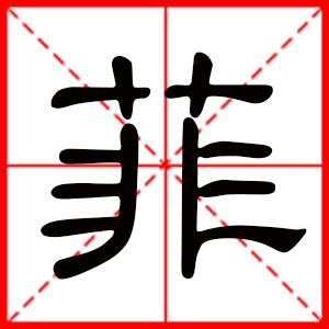 菲的意思名字|菲字宝宝名字寓意精选